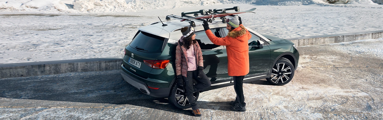Seat arona top roof box